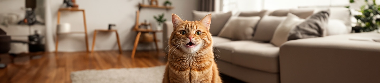 mal aliento en gatos