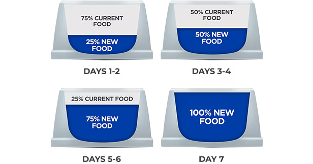 Proceso de transición gradual mezclando el alimento nuevo con el antiguo para prevenir problemas digestivos en cachorros.