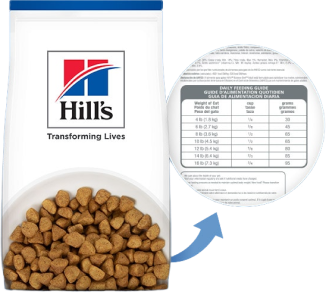 Paquete de alimentos Transformando vidas