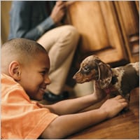 Young boy with spotted brown spotted Dachshund playing on the floor.