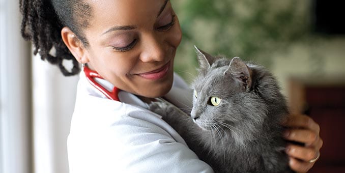 Una veterinaria sostiene a un gato